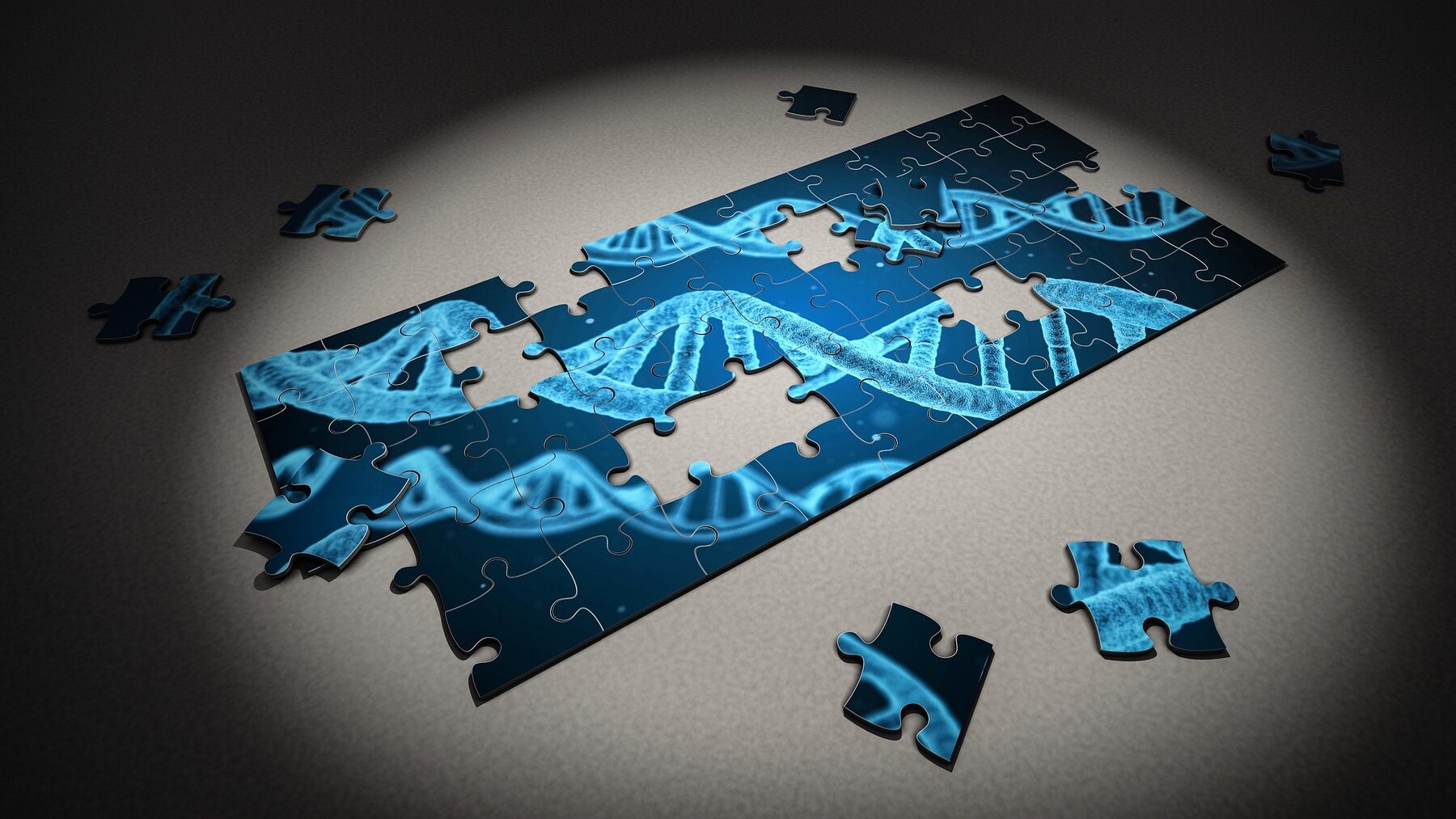 DNA Puzzle