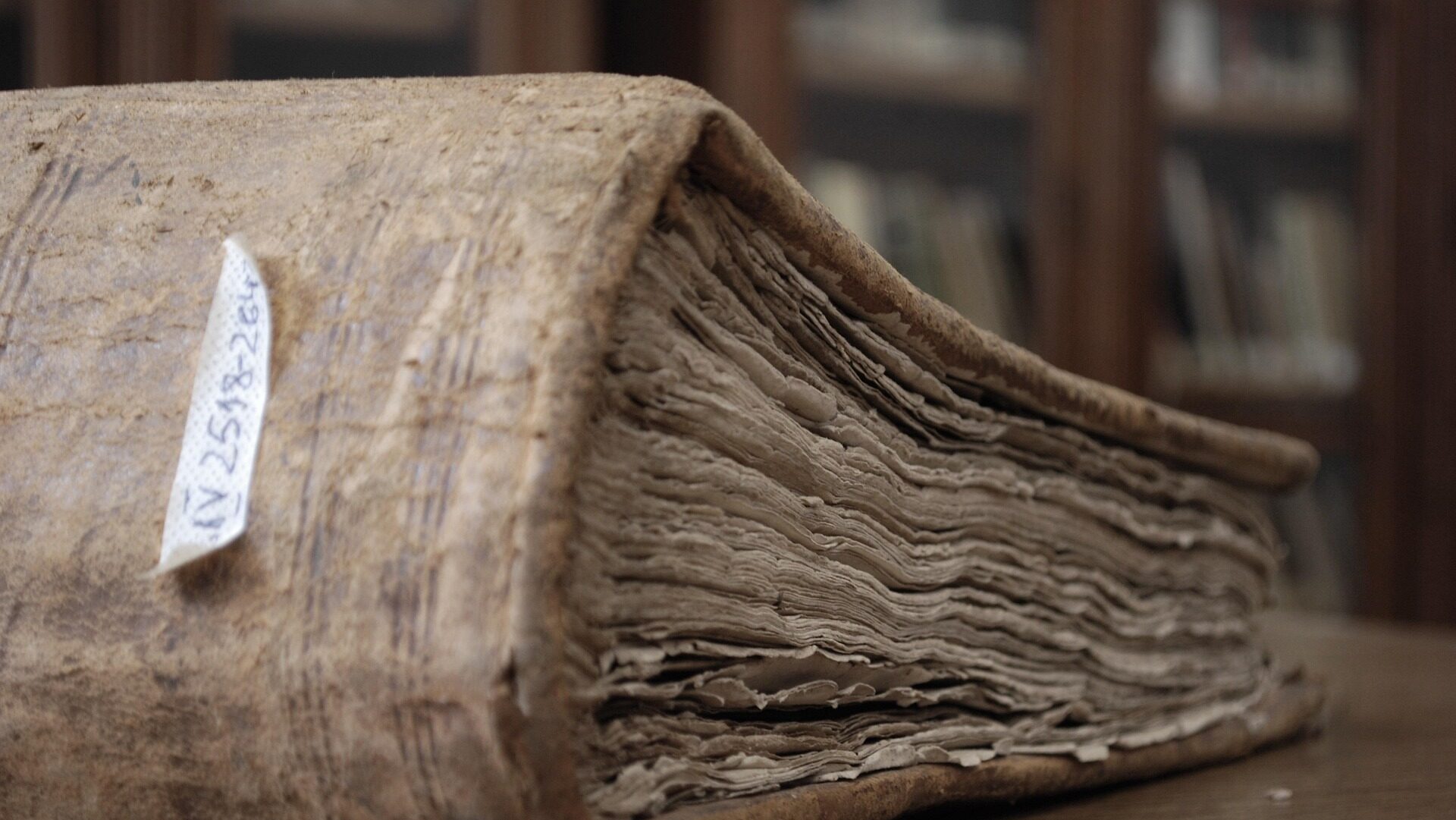 Seltene Quellen der Ahnenforschung für Ihre Recherche 3 Eine altes Register.